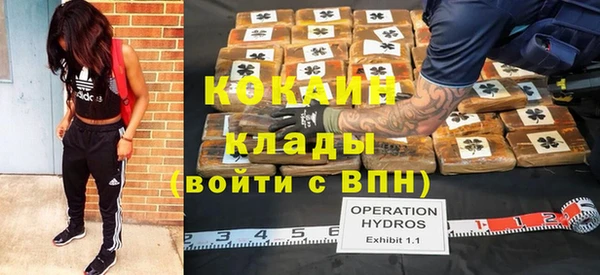 кокс Богородицк