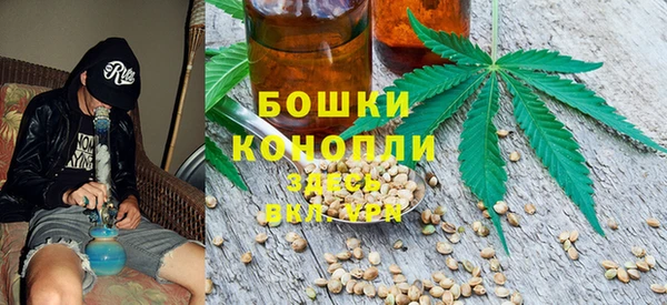 mdpv Богородск